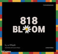 [現貨] GDRAGON X OXFORD 818 BLOOM 積木套裝 限量版禮盒 GD 周邊 小卡 權志龍