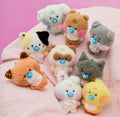 [現貨] ZEROBASEONE ZB1 ZERONI BABY PLUSH HOME PARTY 公仔 娃娃 小卡 奶嘴娃 HANBIN RICKY 石馬修 沈泉銳 金地雄 金泰來 章昊 韓維辰 金奎彬 朴乾旭 YUJIN 成韓彬